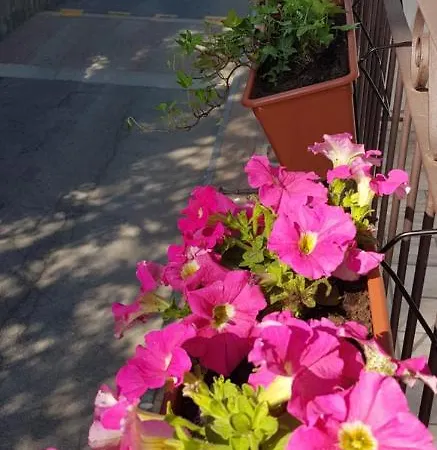 Bed and Breakfast La Corte *