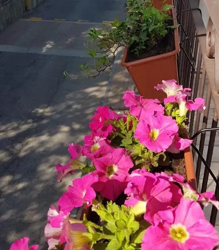 Bed and breakfast La Corte *